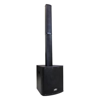 PEAVEY P2 Powered Line Array System